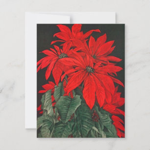 RÖDA INBLANDNINGAR FÖR JULFEST AV POINSETTIA BOUQU INBJUDNINGAR