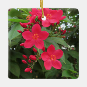 Röda Jatropha-blommor Julgransprydnad Keramik
