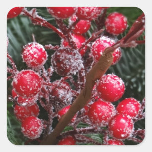Röda julberries. fyrkantigt klistermärke