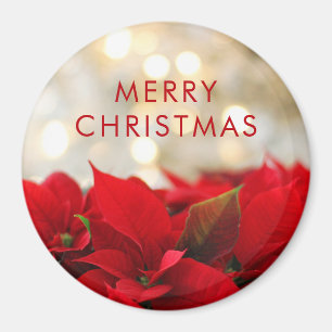 Röda julstjärnor med guld- Bokeh jul Magnet