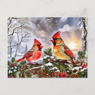 Röda kardinaler med Vild Berries Winter Ligcape Helg Vykort