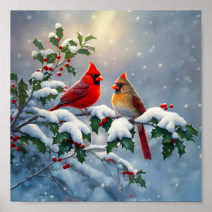 Röda kardinaler och Holly i Snö Poster