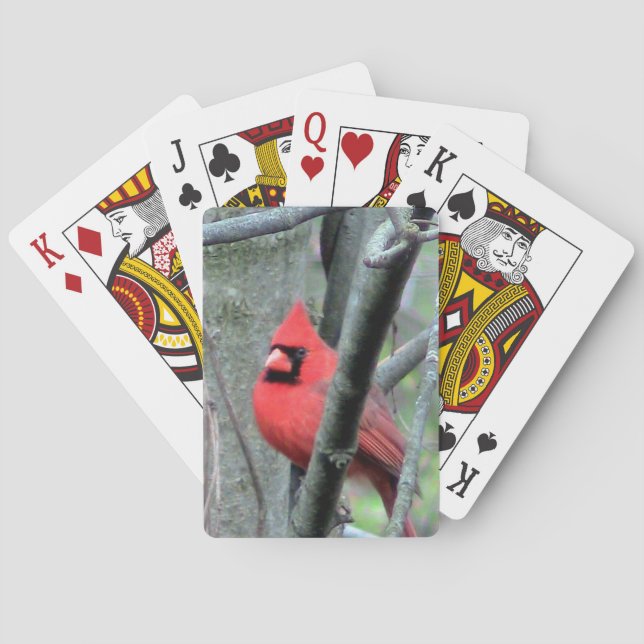 Röda kardinalkort (hane) casinokort (Baksidan)