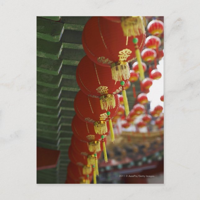 Röda kinesiska lyktor hängande från tempel vykort (Framsida)