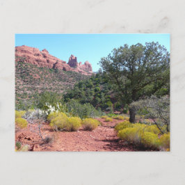Röda klippor och kaktusar II i Sedona Arizona Vykort