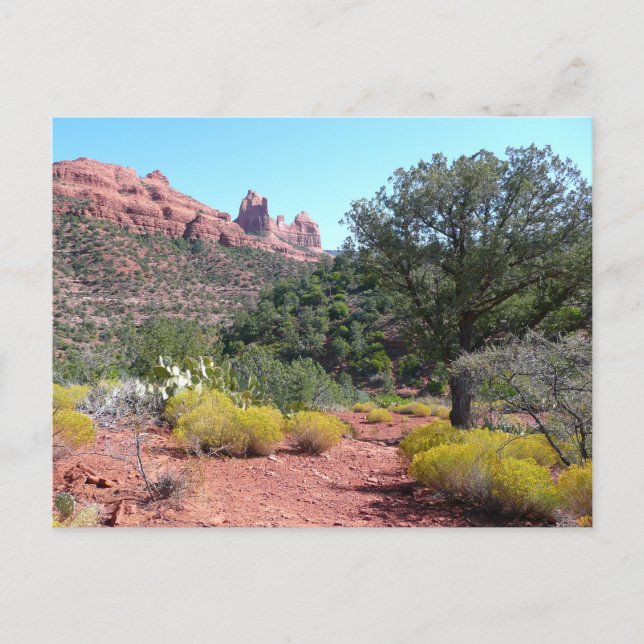 Röda klippor och kaktusar II i Sedona Arizona Vykort (Framsida)