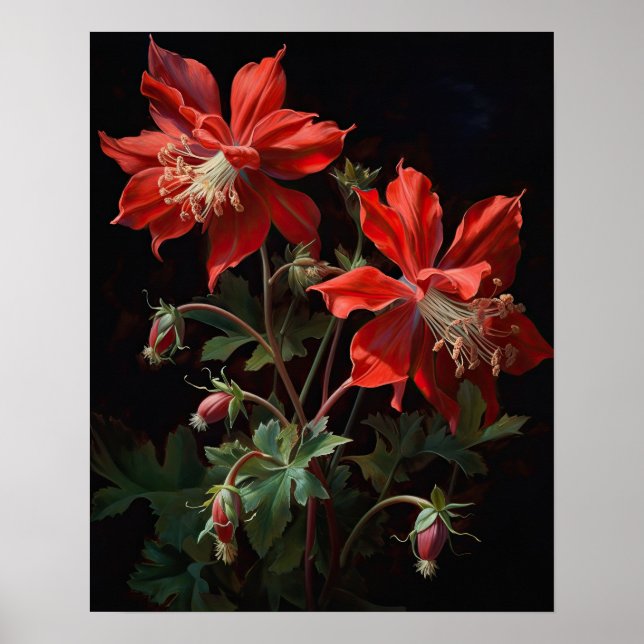 Röda kolumbine Flowers Art Print Poster (Framsidan)