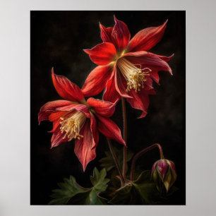 Röda kolumbine Flowers Art Print Poster