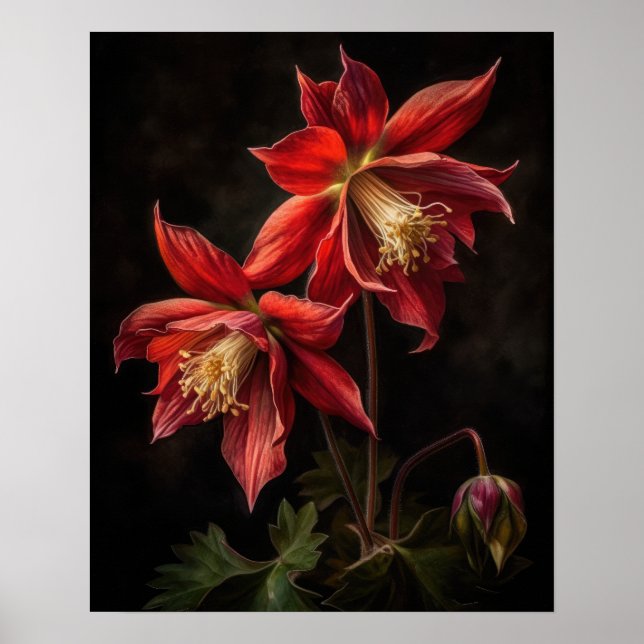Röda kolumbine Flowers Art Print Poster (Framsidan)