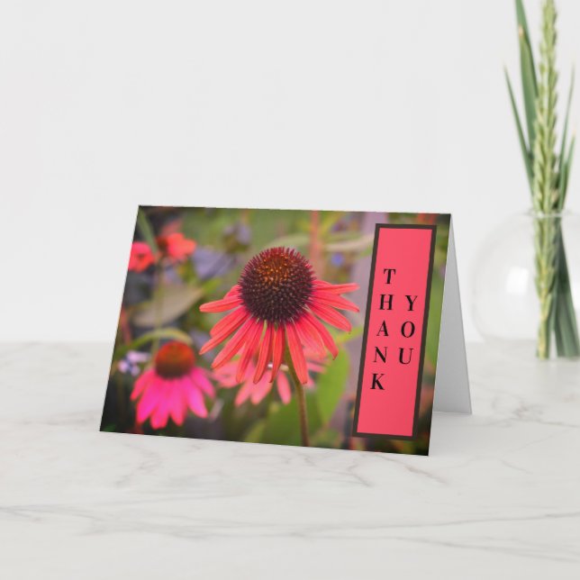 Röda konblommor Echinacea Tack Kort (Framsida)