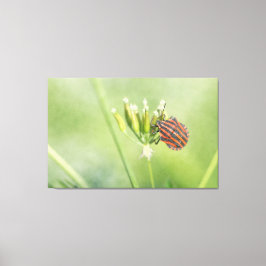 Röda Kryp - ytterligare ett Flaska Ontr inte Canvastryck