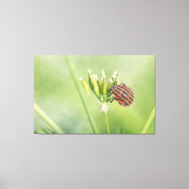 Röda Kryp - ytterligare ett Flaska Ontr inte Canvastryck (Framsida)