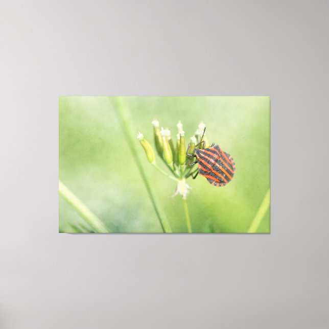 Röda Kryp - ytterligare ett Flaska Ontr inte Canvastryck (Framsida)