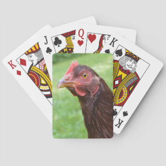 Röda kycklingcykels uppspelningskort casinokort