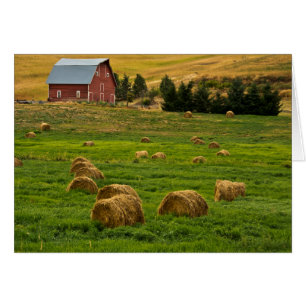 Röda ladan, höbalar, Albion, Palouse område 2 Hälsningskort