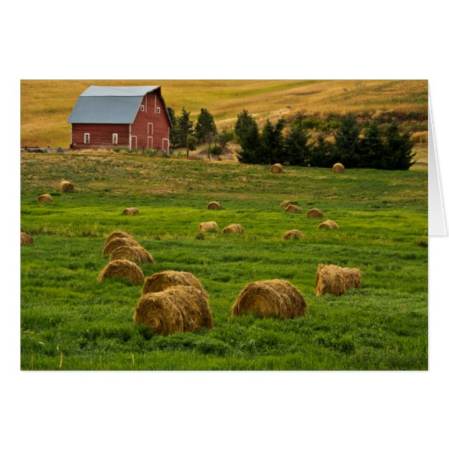 Röda ladan, höbalar, Albion, Palouse område 2 Hälsningskort (Framsidan Horizontal)