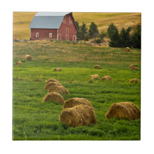 Röda ladugården, höbalar, Albion, Palouse område 2 Kakelplatta