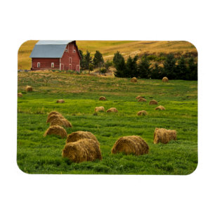 Röda ladugården, höbalar, Albion, Palouse område 2 Magnet