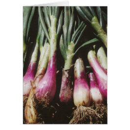 Röda lök på jordbrukarnas grönsaksmarknadskort OBS kort
