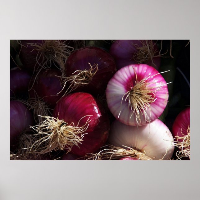Röda lök Poster (Framsidan)