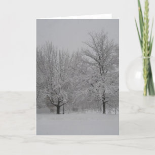 Röda lönnar för vinter kort