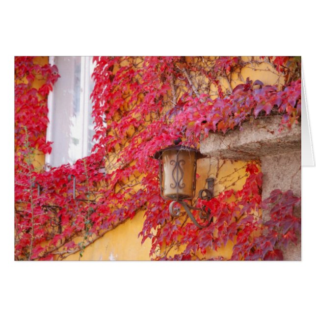 Röda löv hälsningskort (Framsidan Horizontal)