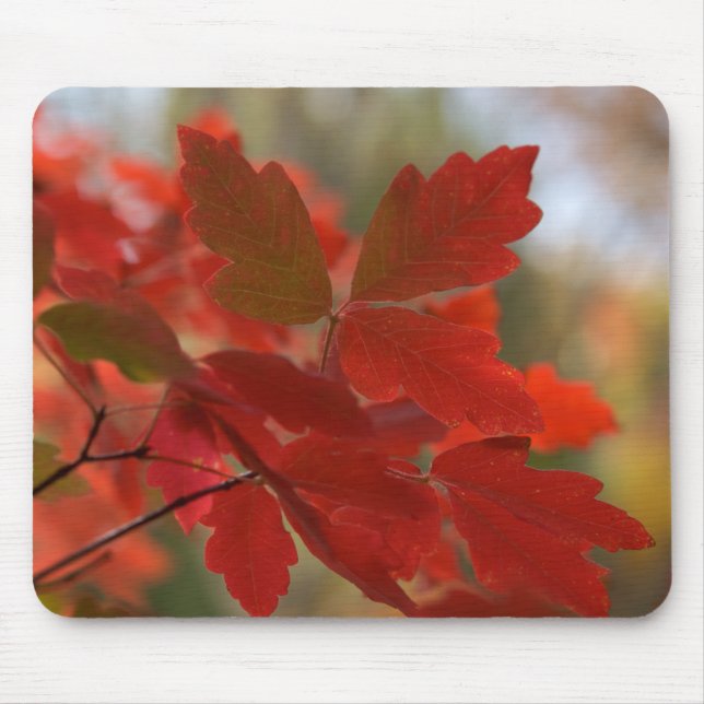 Röda löv Mousepad Musmatta (Framsidan)