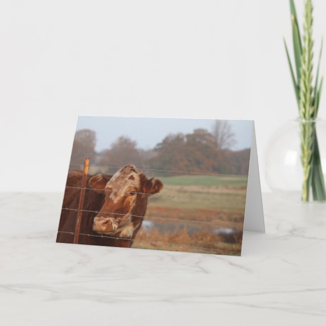 Röda mammor noterar kortet -- Saknad dig Kort (Framsida)