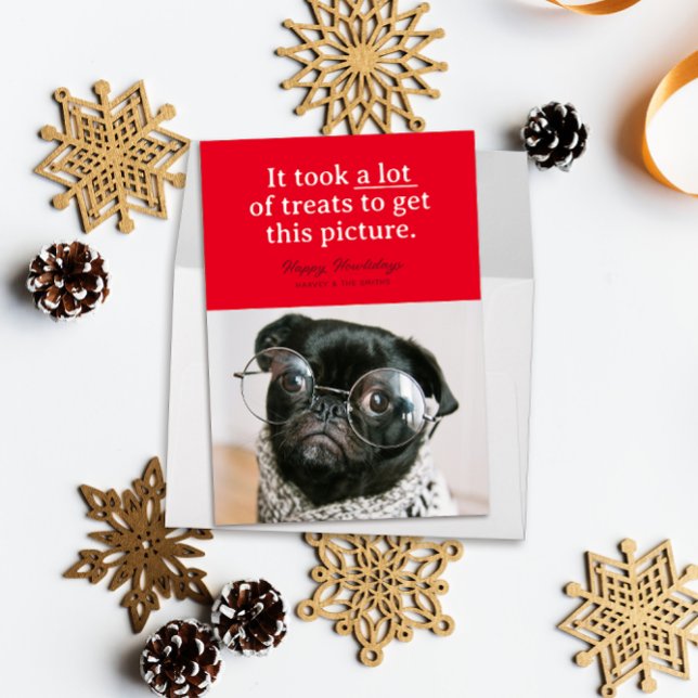 Röda Massor av Gods Julglädje Roliga Husdjur Julkort (Funny pet photo holiday card reads "it took a lot of treats to get this picture" on a block of red)