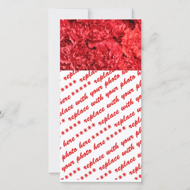 Röda nejlikor (Framsida)