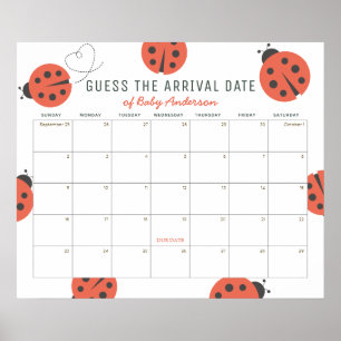 Röda Nyckelpigor Gissa Förfallodatum Kalender Poster