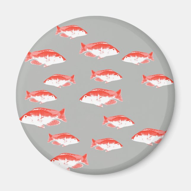 Röda och grå fiskar magnet (Framsidan)