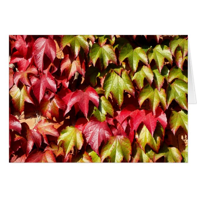 Röda och gröna blad hälsningskort (Framsidan Horizontal)