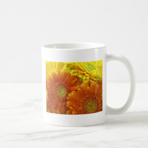 Röda och gula afrikanska daisy kaffemugg