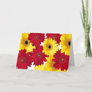 Röda och gula Gerber Daisy-foton Personlig Kort