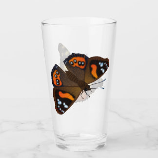 Röda och Gult amiral Butterflies Glaskopp