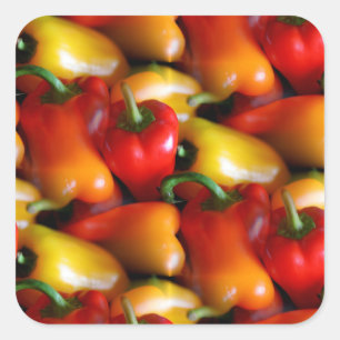 Röda och Gult paprika Fyrkantigt Klistermärke