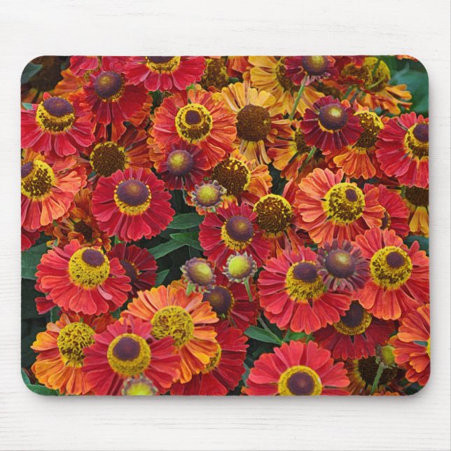 Röda och orange helenium-blommor musmatta (Framsidan)