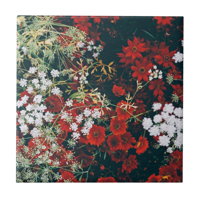 Röda och vita blommor kakelplatta (Framsidan)