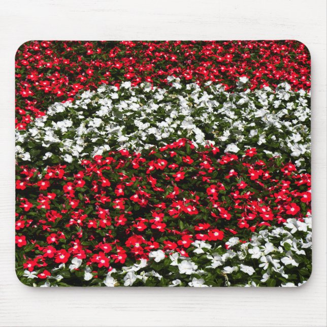 Röda och vita blommor musmatta (Framsidan)