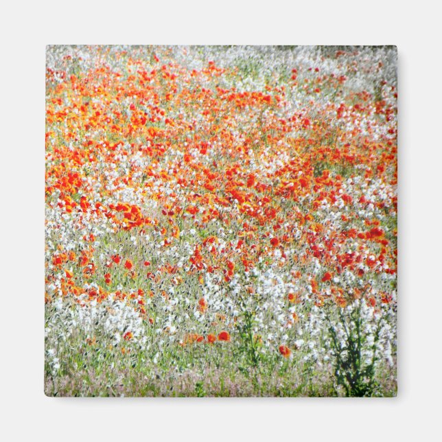 Röda och vita blommor underlägg magnet (Framsidan)