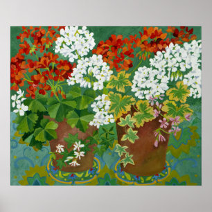 Röda och vita geranium i krukor 2013 poster