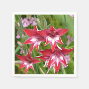 Röda och vita gladioler sommarblomma pappersservett