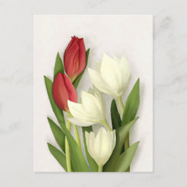 Röda och vita tulpaner Blommig vykort