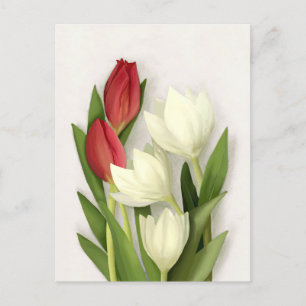 Röda och vita tulpaner Blommig vykort