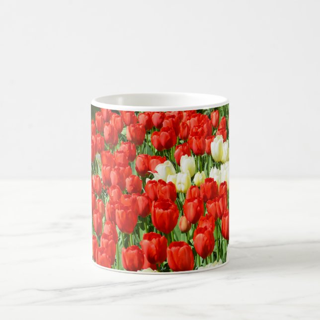 Röda och vita tulpaner kaffemugg (Center)