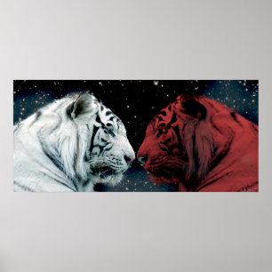 Röda och vittigrar som vänder mot varje annan poster