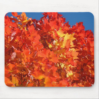 Röda Orange Höst Löv Fall Blå Himmel Musmatta