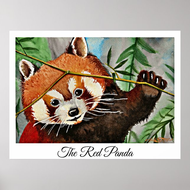 Röda pandan poster (Framsidan)