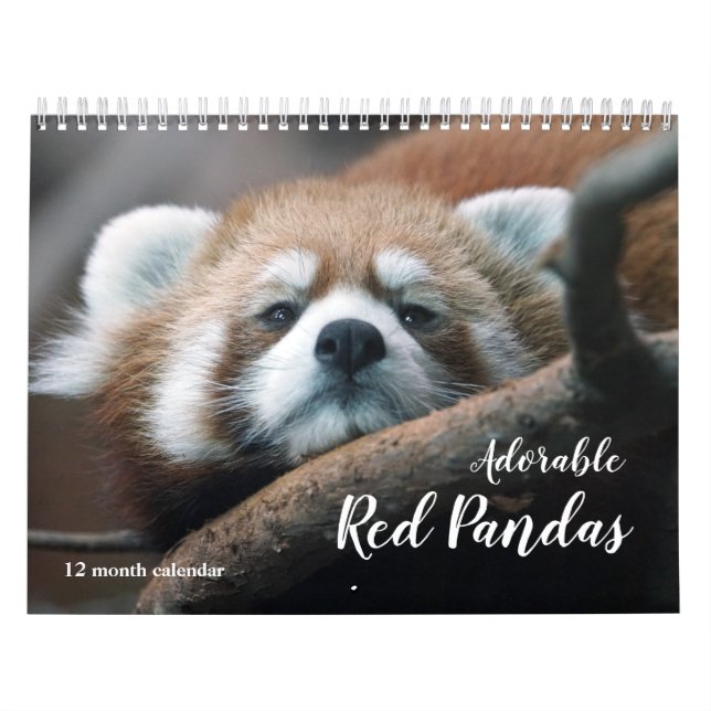 Röda pandor 2026 kalender (Omslag)